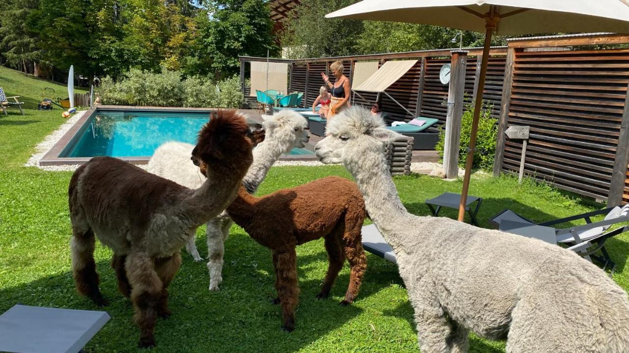 Dolomit Boutique Hotel Ла Виля Екстериор снимка